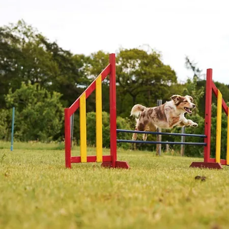 Hof Koehne - Altes - Huhn Apartman Schmallenberg