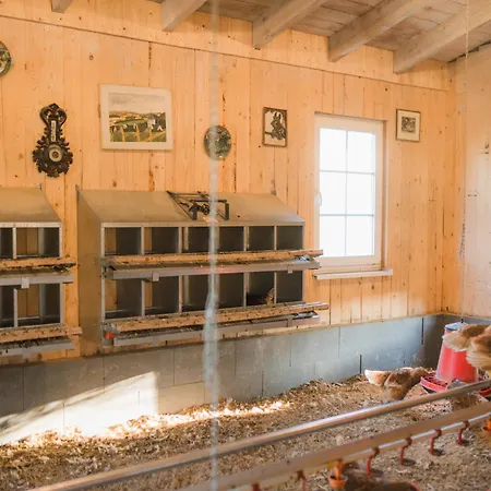 Hof Koehne - Altes - Huhn *