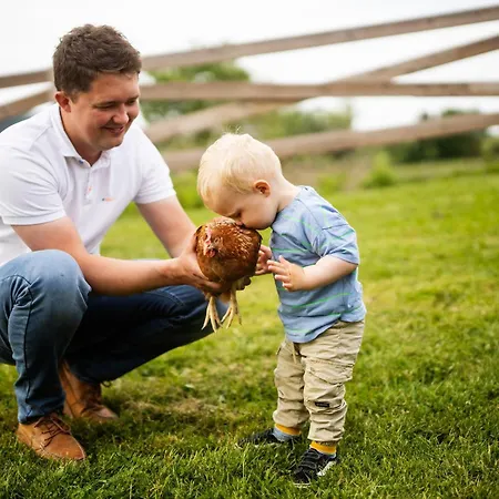 Hof Koehne - Altes - Huhn Apartman