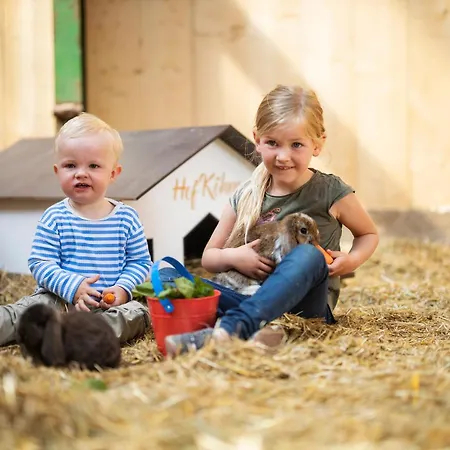 Hof Koehne - Altes - Huhn Apartman