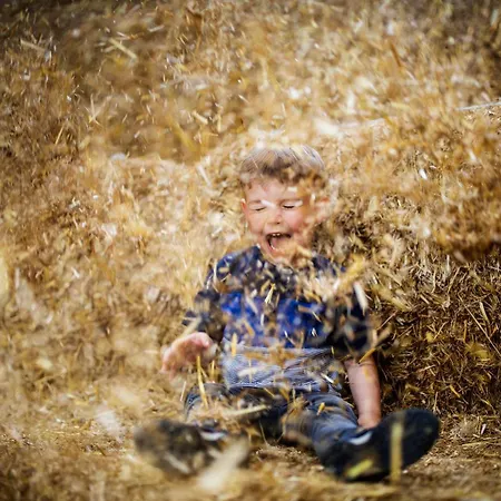 Hof Koehne - Altes - Huhn * Schmallenberg