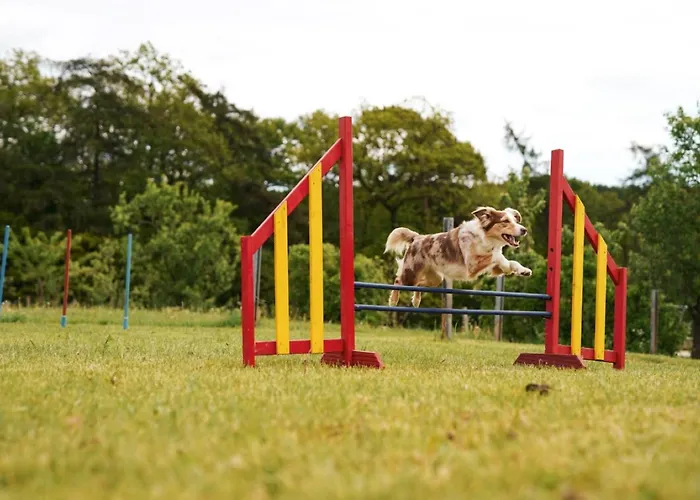 Hof Koehne - Altes - Huhn Apartment Schmallenberg