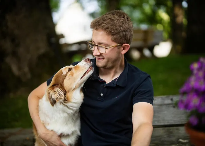 Appartement Hof Koehne - Altes - Huhn Schmallenberg