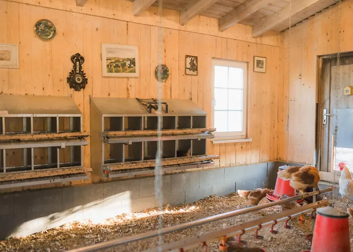 Hof Koehne - Altes - Huhn *