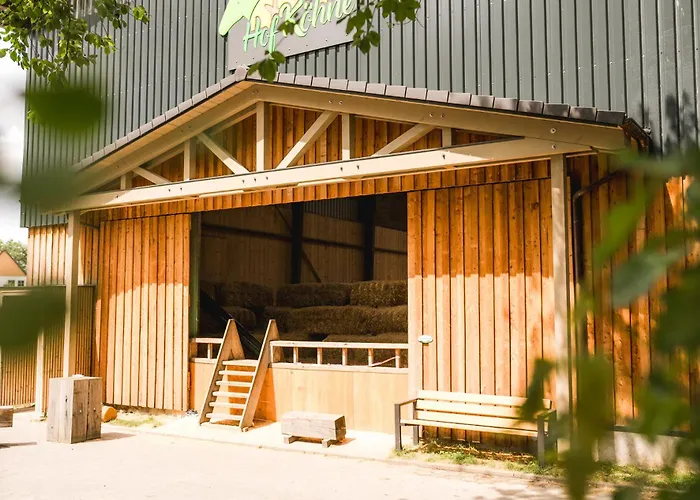 Hof Koehne - Altes - Huhn Apartment Schmallenberg