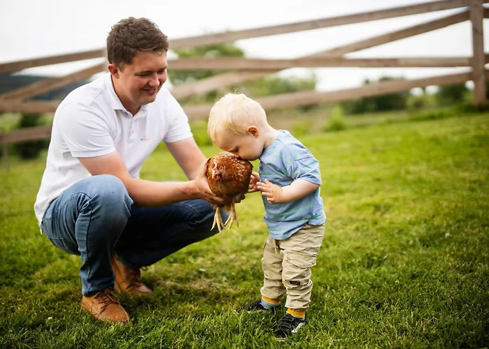 Hof Koehne - Altes - Huhn Apartment